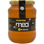 Kolomý Jesenický včelí med květový 950 g – Zboží Dáma