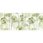 A&D Foils Deco fix GmbH Bordura papírová Mák zelený - šířka 7,8cm x délka 5m – Zboží Dáma A&D Foils Deco fix GmbH Bordura papírová Mák zelený - šířka 7,8cm x délka 5m – Zboží Dáma