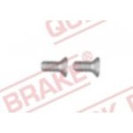 Šroub M6x1, délka 14 mm, na brzdové kotouče | Zboží Auto