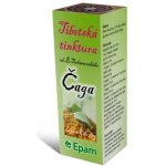 Roni Epam kapky tinktura Čaga 50 ml – Hledejceny.cz