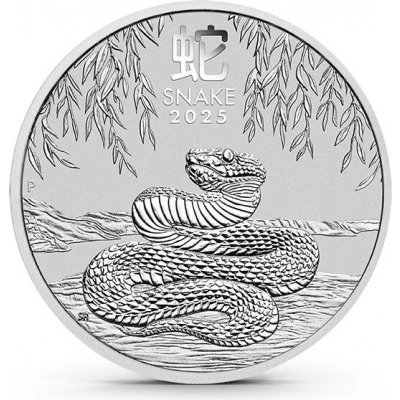 Perth Mint Stříbrná mince Rok Hada Lunar III 2025 1/2 oz – Hledejceny.cz