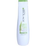 Matrix Biolage Normalizing Clean Reset Shampoo 250 ml – Zbozi.Blesk.cz