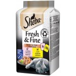 Sheba Fresh & Fine Kuřecí a Losos ve šťávě 6 x 50 g – Zboží Mobilmania