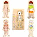 Small Foot Puzzle Anatomie Tim – Zbozi.Blesk.cz