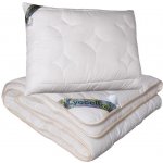 2G Lipov souprava Lyocell-Tencel bavlna celoroční 135x220 70x90 – Zboží Dáma