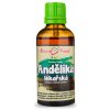 Doplněk stravy Andělika angelika lékařská bylinné kapky tinktura 50 ml