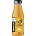 EkoMedica SMOOTHIE mango ananas rakytník 250 ml – Hledejceny.cz