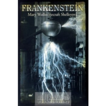 Frankenstein - Shelley Mary Wollstonecraft