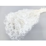 Stabilizovaná mini Gypsophila svazek/kytice bělená 45g – Hledejceny.cz