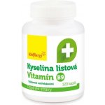 Wolfberry Kyselina listová 120 kapslí – Hledejceny.cz