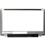 Asus ChromeBook CX1102CKA display 11.6" LED LCD displej WXGA HD 1366x768 matný povrch – Zboží Živě