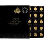 Royal Canadian Mint zlatá mince Maple Leaf Maplegram 25 x 1 g – Zbozi.Blesk.cz