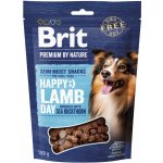 Brit Premium by Nature SM Snacks Lamb 180 g – Zboží Dáma
