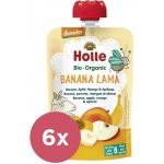 HOLLE Banana lama Bio ovocné pyré banán jablko mango meruňka 6 x 100 g – Hledejceny.cz