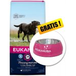 Eukanuba Mature & Senior Large Breed 15 kg – Hledejceny.cz