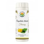 Salvia Paradise Pampeliška lékařská standardizovaný extrakt 60 kapslí – Hledejceny.cz