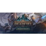 Pillars of Eternity 2: Deadfire (Obsidian Edition) – Zboží Dáma