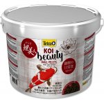 Tetra Pond Koi Beauty Small 10 l – Hledejceny.cz