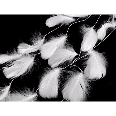 Peří na šňůrce / girlanda Varianta: bílá, Balení: 3 m – Hledejceny.cz