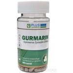 PLUS LÉKÁRNA GURMARIN kapslí Gymnema Sylvestre 250 mg 60 kapslí – Hledejceny.cz