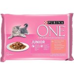 Purina ONE Junior minifiletky s lososem a mrkví ve šťávě 4 x 85 g – Zbozi.Blesk.cz