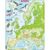 Puzzle Jaku Trade Mapa EVROPY geografická 87 dílků