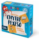 Albi Kvído Chytré pexeso: Písmena