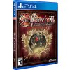 Hra na PS4 9th Dawn III - Shadow of Erthil