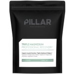 Pillar Triple Magnesium Powder Lemon Lime sáček 400 g – Hledejceny.cz