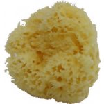 Naturaprodukt mořská houba bílá 10 11,5 cm – Zboží Dáma