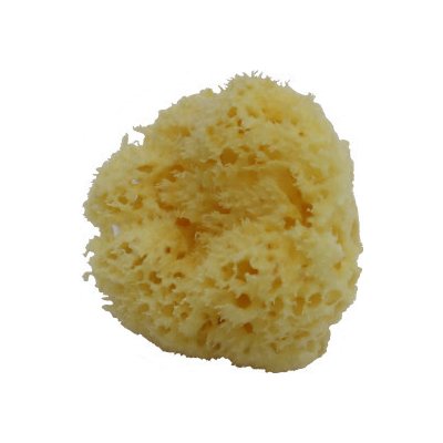 Naturaprodukt mořská houba bílá 10 11,5 cm – Zboží Dáma