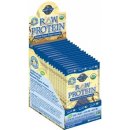 Garden of Life Protein Raw 23 g