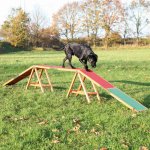 Trixie Agility lávka 456 x 64 x 30 cm do 80kg – Hledejceny.cz