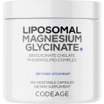 Codeage Liposomal Magnesium Glycinate 240 Veg Kapslí – Hledejceny.cz