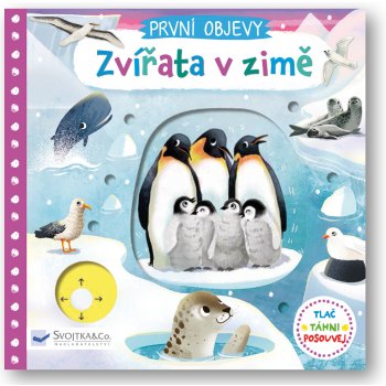 Zvířata v zimě - Jenny Wren