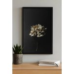 Paper Collective - Plakát - "Still Life 04 Hydrangea", 30 × 40 cm – Hledejceny.cz
