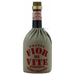 Ramazzotti Grappa Fior di Vite 40% 0,7 l (holá láhev) – Zboží Mobilmania