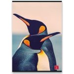 Pigna Školní sešit Animal A5 linkovaný – Hledejceny.cz