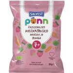 Salvest Põnn BIO křupky pro děti jahoda 20 g – Zboží Dáma