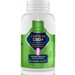 Altervet Cartilan CBD+ 60 g 40 tbl – Sleviste.cz