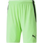 Puma teamLIGA Shorts – Hledejceny.cz