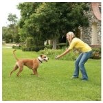 Petsafe Bezdrátový ohradník pro psy Stay + Play – Zboží Mobilmania