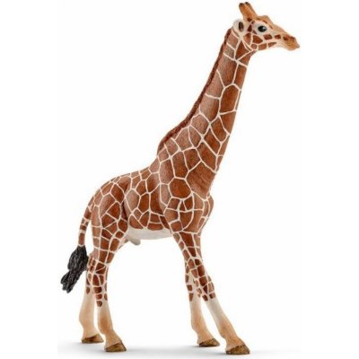 Schleich 14749 Žirafa samec – Hledejceny.cz