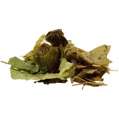 Salvia Paradise Škornice šípolistá sušený list 50 g – Zboží Mobilmania