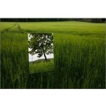 Amirro ROMY 50 x 70 cm 712-802 – Hledejceny.cz