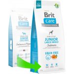 Brit Care Grain Free Junior Large Breed Salmon 3 kg – Hledejceny.cz