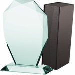 Skleněná trofej s pouzdrem – Sleviste.cz
