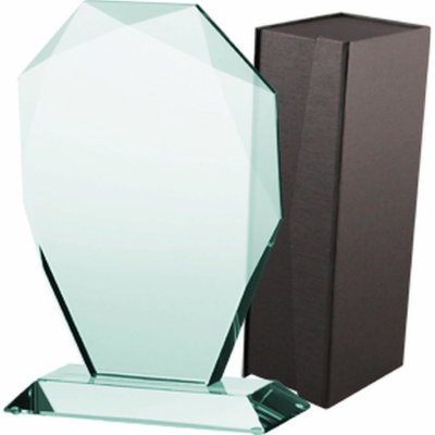 Skleněná trofej s pouzdrem – Sleviste.cz