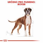 Royal Canin Boxer Adult 12 kg – Sleviste.cz