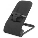 Kidnort Vinbär černé – Zboží Dáma